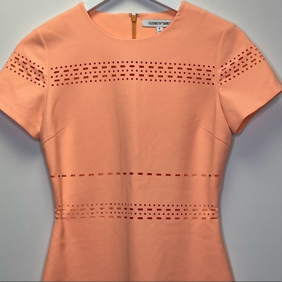Elizabeth and James Laser Cutout Ari Dress Size 4 - Picture 5 of 17